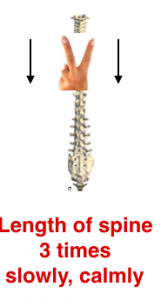 Slow two-finger massage along spine